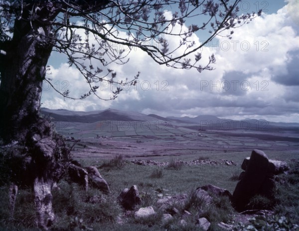 A view near Llanaelhaearn, Wales, c1955. Creator: Arthur Charles Kirby Ware.