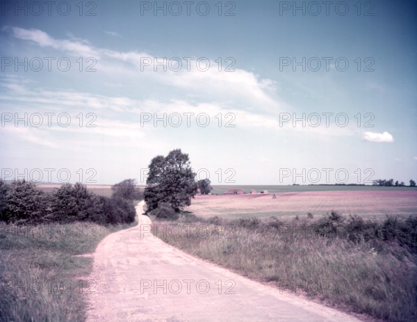 Downland scene near Aldworth, Berkshire, c1955.  Creator: Arthur Charles Kirby Ware.