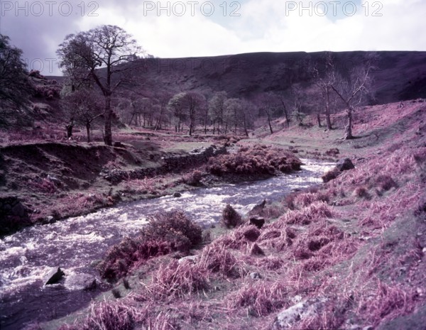 Wicklow, Ireland, c1955. Creator: Arthur Charles Kirby Ware.