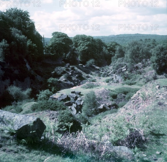 Parkend, Forest of Dean, c1955.  Creator: Arthur Charles Kirby Ware.