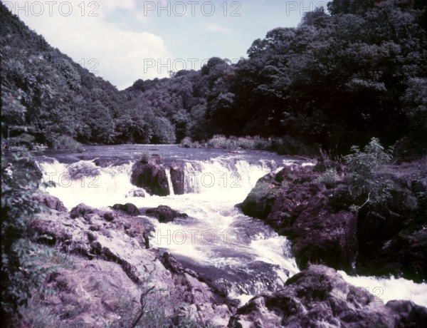 Salmon leap at Cenarth, Carmarthen, c1955.  Creator: Arthur Charles Kirby Ware.