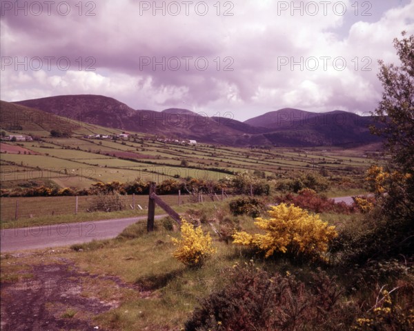 County Down, Northern Ireland, c1955. Creator: Arthur Charles Kirby Ware.