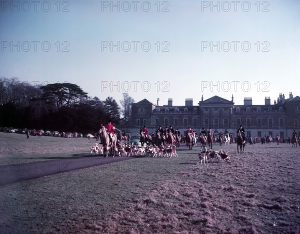 Hunt of Woburn Abbey, Bedfordshire, c1955.  Creator: Arthur Charles Kirby Ware.