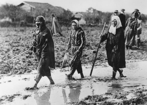 Guerre des Balkans, exode des populations
