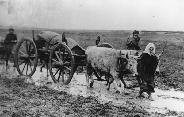 Guerre des Balkans, exode des populations