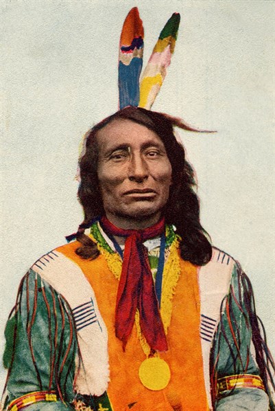 Carte postale représentant le chef Indien "Bear goes in the wood"