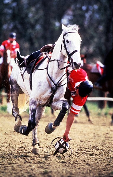 Horseball