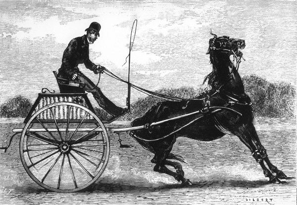 Mors électrique