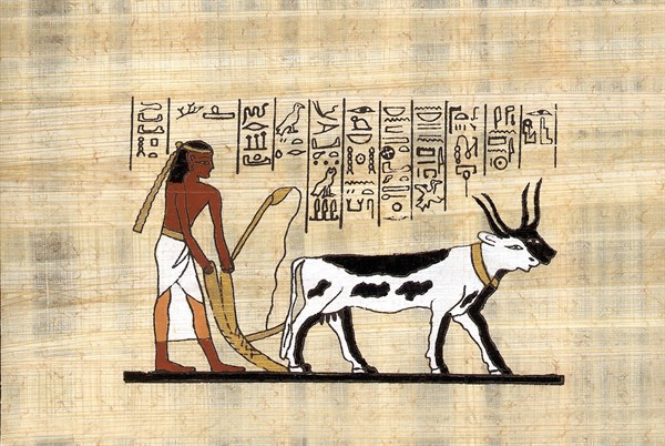 Modern Egyptian papyrus
