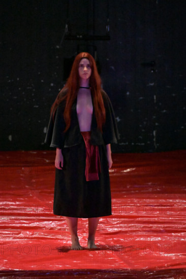 Festival d'Avignon IN 2026 : "Uma Luz Cordial"