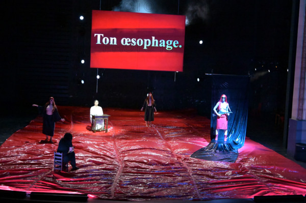 Festival d'Avignon IN 2026 : "Uma Luz Cordial"