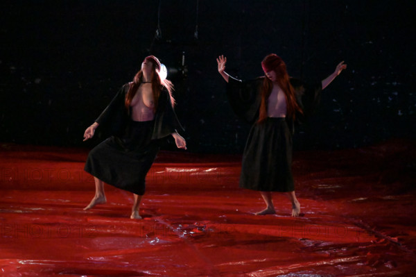 Festival d'Avignon IN 2026 : "Uma Luz Cordial"