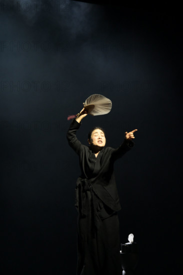 Festival d'Avignon IN 2026 : "Neige, neige, neige"