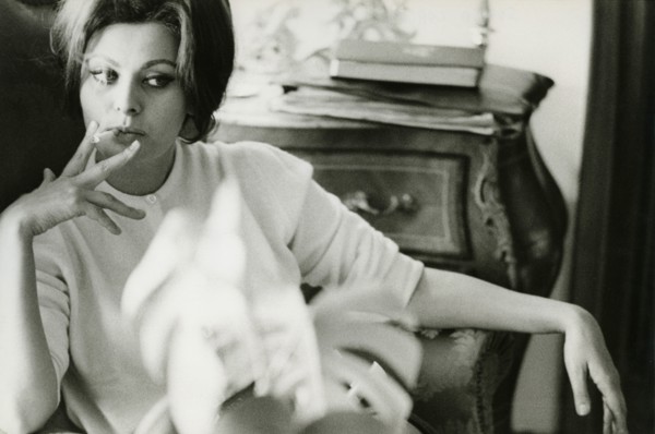 Sophia Loren