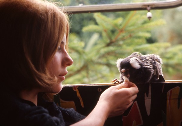 France Gall