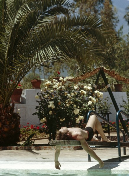 Johnny Hallyday