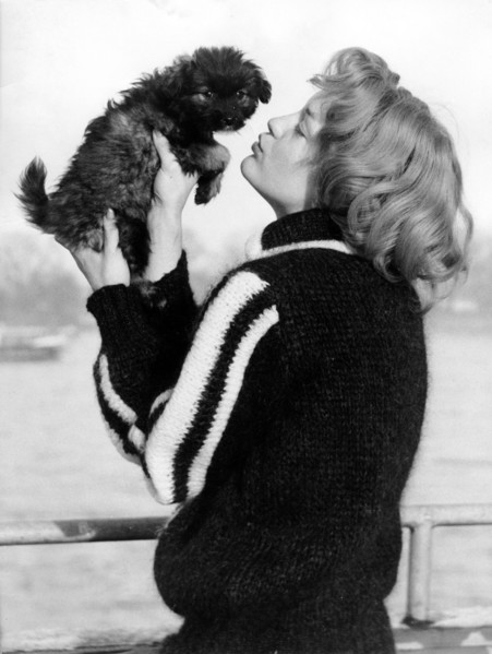 Romy SCHNEIDER with her puppy 'Flabs', 1959