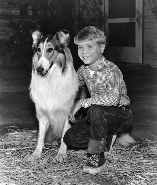 TV series "Lassie", 1961