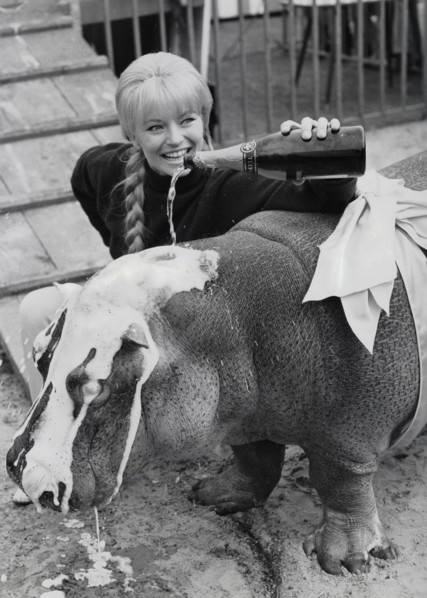 Karin BAAL baptizes a hippopotamus, 1965