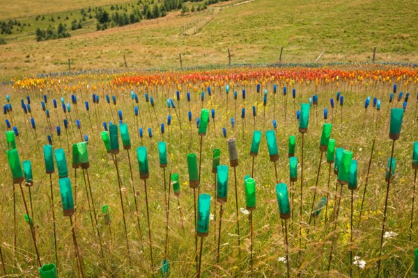 B3HJ37 A Laetitia Carlotti's Land Art work. Installation de Land Art realisee par l'artiste
