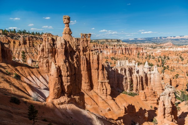 Hoodoos, Thor's Hammer, Amphitheater, Bryce Canyon National Park, Utah, USA