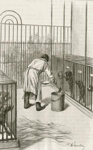 Laboratory animals at the Institut Pasteur, Paris, used during research ion hydrophobia (Rabies):  Drilling into  the brain rabbit.  Engraving, Pa;ris, 1873.
