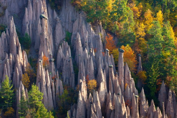 Ritten geomorphology Italy Europe Trentino South Tirol earth pillar geology erosion forms nature cliff wood forest autumn