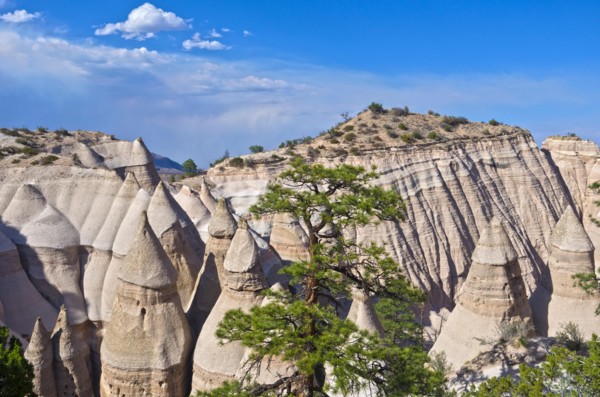 Kasha-Katuwe Tent Rocks National Monument in New Mexico.  A tree stands amid the hoodoos, beneath a blue sky.
