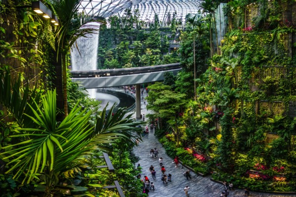 Singapore - Jun 11,  2019: HSBC Rain Vortex. Jewel Changi Airport is a mixed-use development at Changi Airport in Singapore, opened in April 2019.