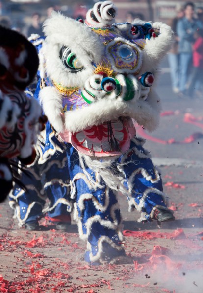 Chinese Lion Dancers perform in elaborate Lion costumes during Chinese New Year Celebrations
