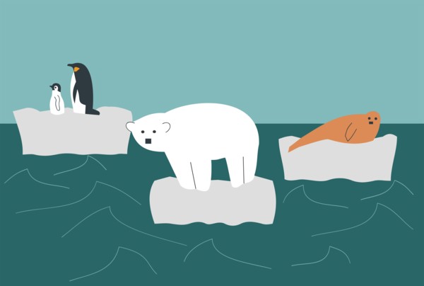 Illustration of wild animals, polar bear, penguin and seal on a melting glacier in the middle of the ocean - Global Warming