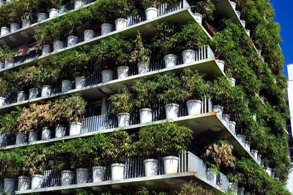 Paris, France, Green Neighborhood "Tower Flower" Apartment Tower, Architectural Detail, "Clichy Batignolles" Building Day Green walls buildings,