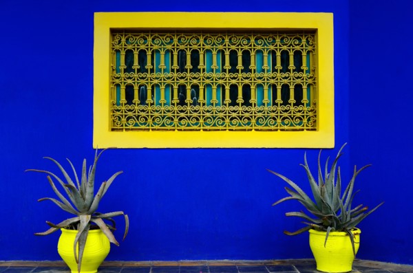 Marrakesh, Morocco - November 24th 2014: Colorful flower pot and window in Jardin Majorelle, former residence of fashion designer Yves Saint Laurent,