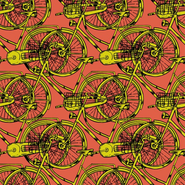 Bicycle with Cart