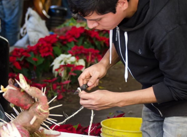 Young man assembling radish sculpture for Noche de Rabanos, Oaxaca, Mexico.