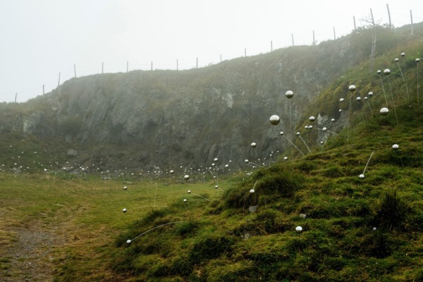 Horizons arts and Natures in Sancy 2021. QI Flowers work by Christian Delecluse and Perrine Villemur, Puy de Dome, Auvergne Rhone Alpes, France
