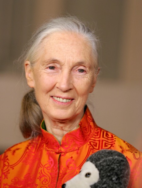 Jane Goodall arrives at the Jules Verne Adventure Film Festival at the Shrine Auditorium in Los Angeles, CA on October 6, 2006. Photo credit: Francis Specker