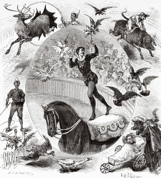 The deer, the geese and pigeons of the Cirque d'Hiver, the pigs and the monkey of the Folies-Bergeres. Paris, France. Europe. Old 19th century engraved illustration from La Nature 1883