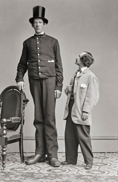 James Hugh Murphy Jr (1842-1875) was born in Waterford, Ireland and died in Baltimore, USA. Known as the Irish Giant and the Baltimore Giant, he toured with P.T. Barnum, being billed as being over 8' ...