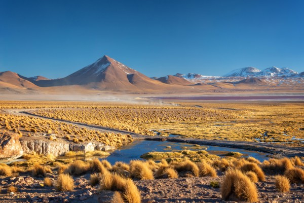 Landscape of the altiplano in Bolivia