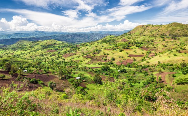 View of the Bonga forest reserve in southern Ethiopia