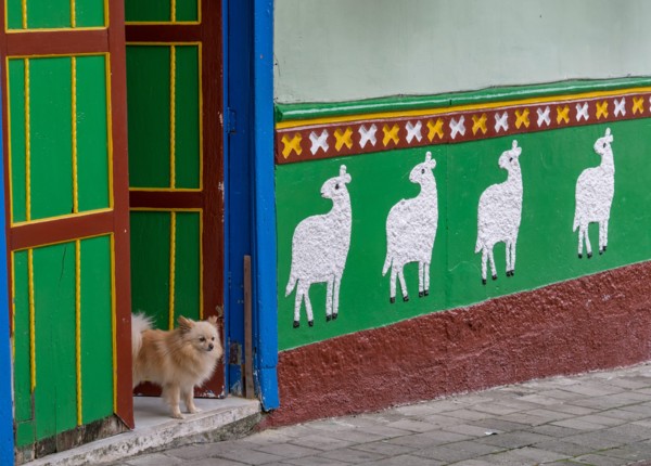 Guatape, Colombia. Typically colourful buildings in Guatape Colombia