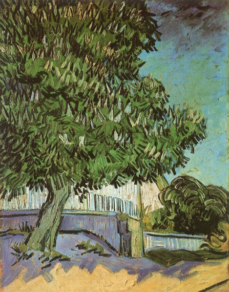 Chestnut Tree in Blossoms