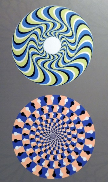 Rotating Snakes optical illusion. we perceive the brightly coloured circles of the image to be in circular motion. perhaps this is due to with microsaccades, or involuntary eye movements, that attempt...