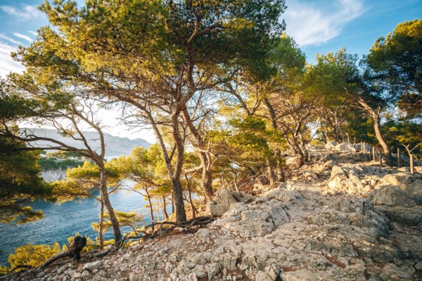Path Hiking Trails Among Calanques On The French Riviera. Calanques - A Deep Bay Surrounded By High Cliffs.