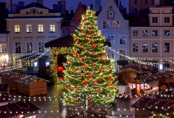Decorated Christmas tree in the town square. Tallinn. Estonia.