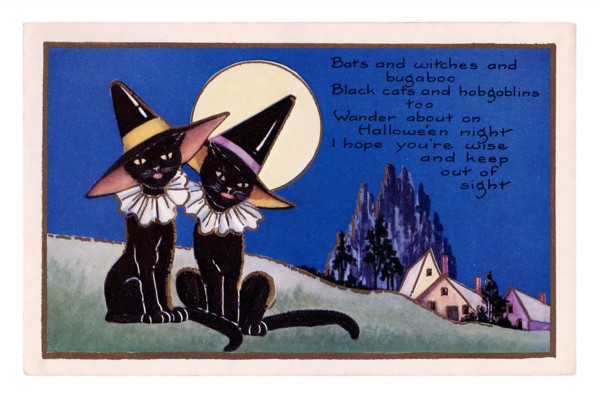 Vintage Halloween greeting card / postcard. Early 1900s. Two black cats in the moon shine.