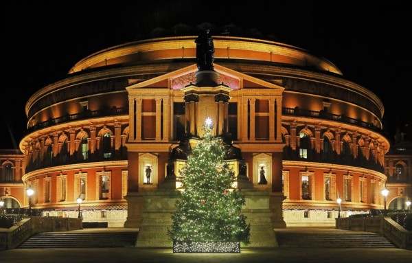The Royal Albert Hall with Christmas Tree, Illuminated at night.