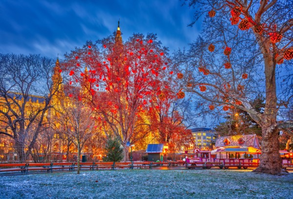 Vienna town hall and park