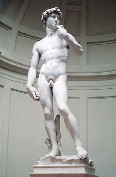 statue of David by Michelangelo in Florence Italy